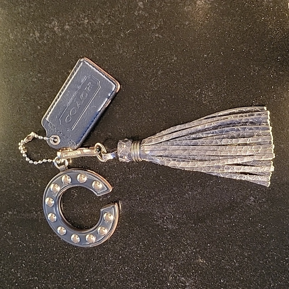 Coach Exotic Embossed Python Leather Sierria Carr… - image 1